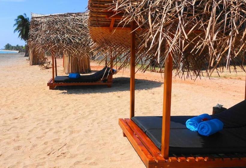 اتاق لوکس, Regina Beach Bungalow