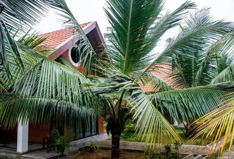 اتاق خانوادگی, Bigj Villas Nilaveli