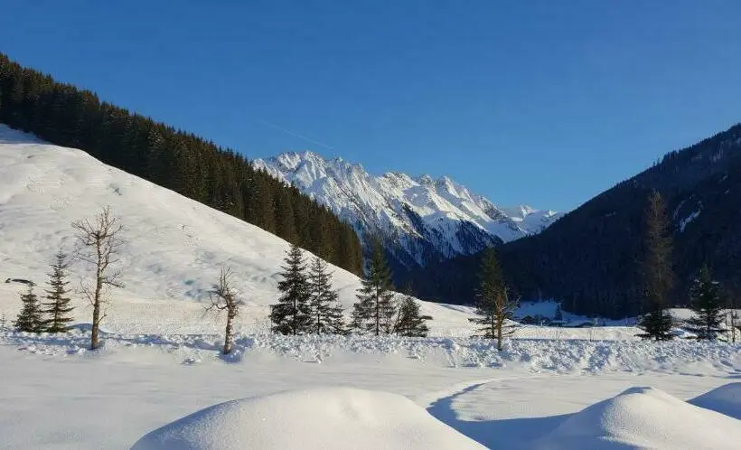 اتاق استاندارد یک تخته با بالکن, Alpenrose Hotel Garni