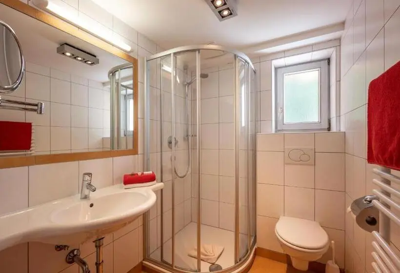 اتاق سوپریور, Alpenrose Hotel Garni