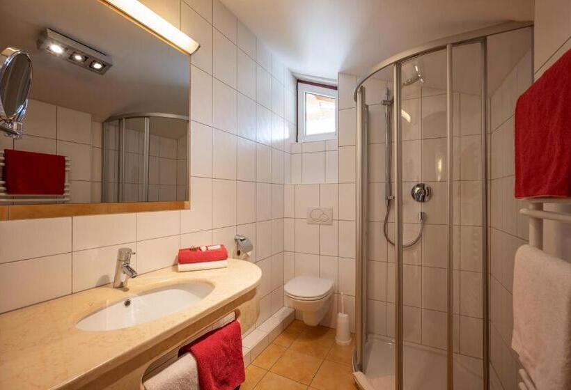 חדר סופריור, Alpenrose Hotel Garni