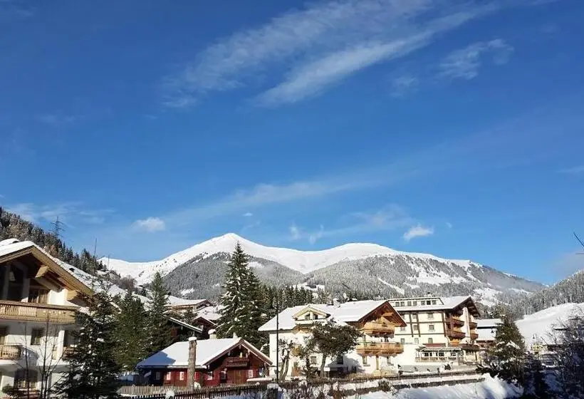 اتاق اکونومی یک تخته, Alpenrose Hotel Garni