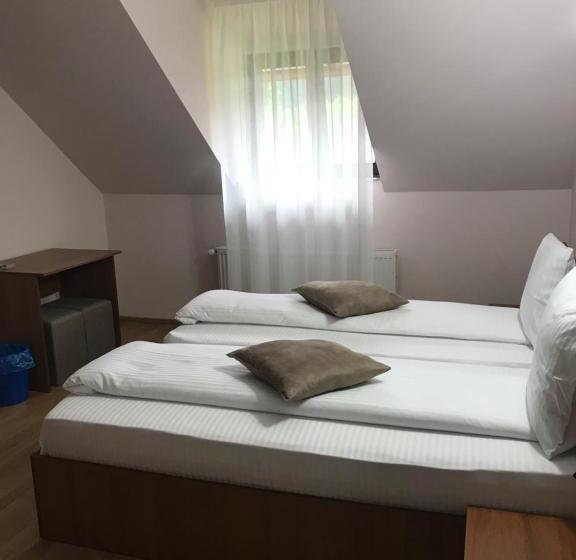 اتاق استاندارد با چشمانداز کوهستان, Pensiunea Granada