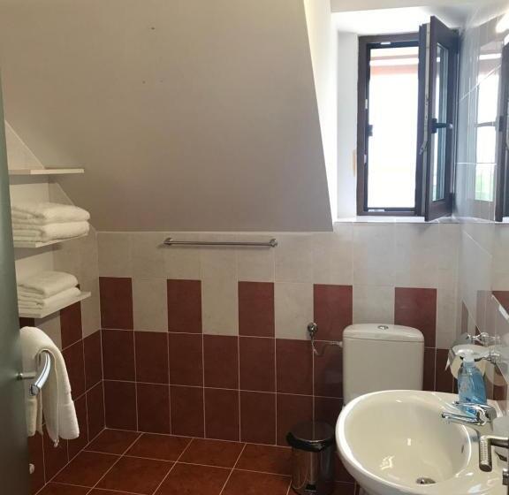 اتاق استاندارد با تراس, Pensiunea Granada