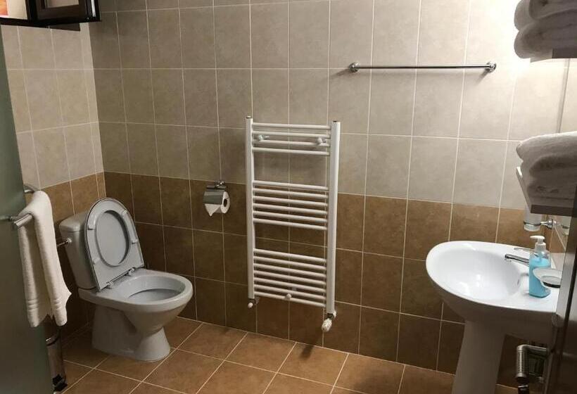 اتاق استاندارد با تراس, Pensiunea Granada