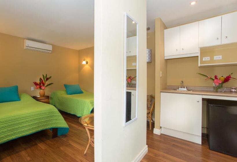 استودیو استاندارد با تراس, Airport Costa Rica B&b