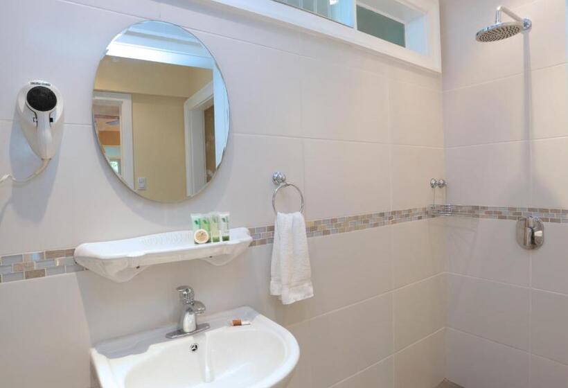 استودیوی استاندارد, Airport Costa Rica B&b