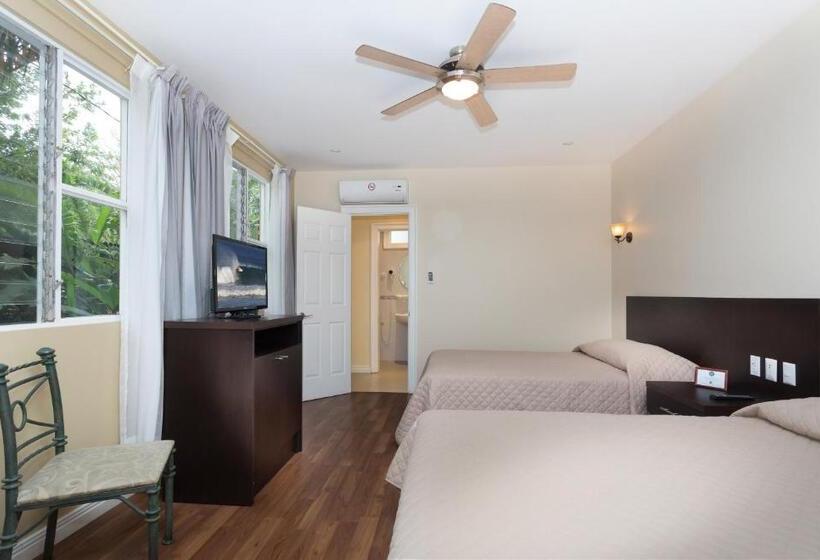 استودیوی استاندارد, Airport Costa Rica B&b