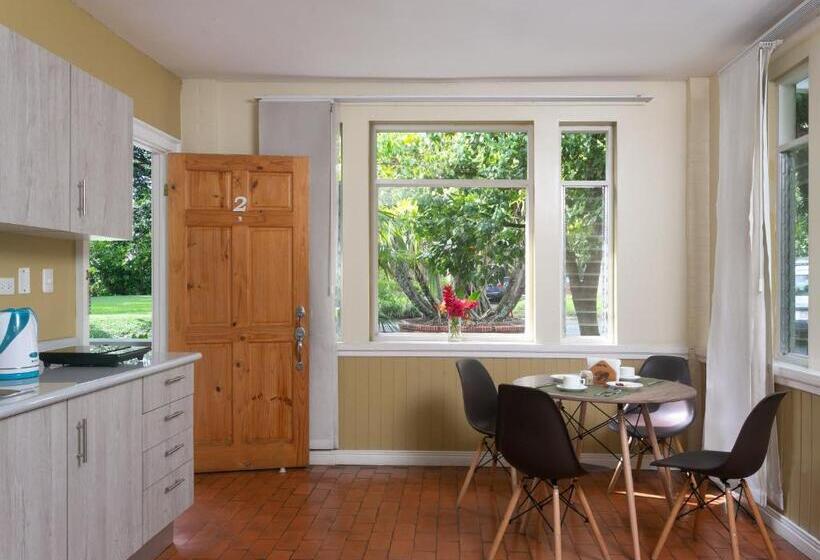 إستوديو قياسى, Airport Costa Rica B&b