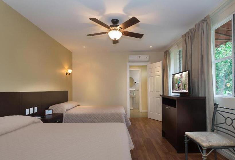 استودیوی استاندارد, Airport Costa Rica B&b