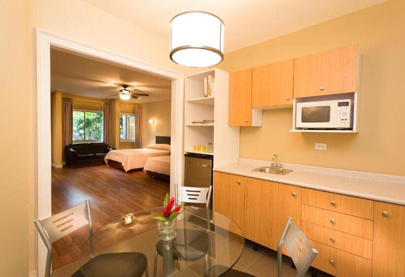 اتاق استاندارد, Airport Costa Rica B&b