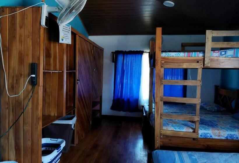 اتاق سوپریور خانوادگی, Hostel Marisol