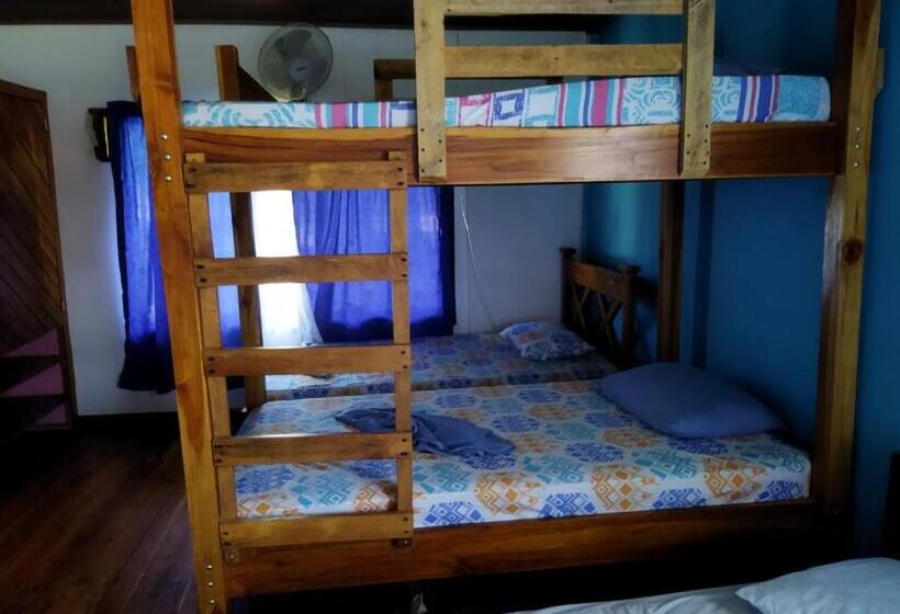 Семейный Номер Superior, Hostel Marisol