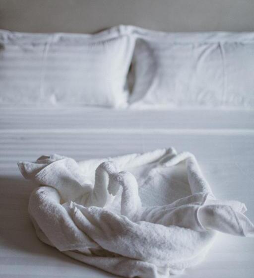 2 Yatak Odalı Süit, Pvl Suites