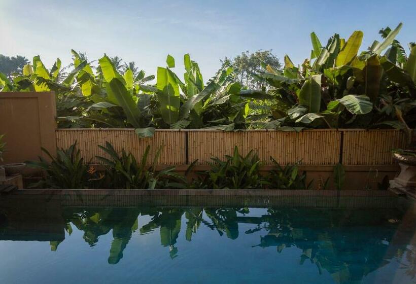 Номер Deluxe, Umah Tikari Guesthouse