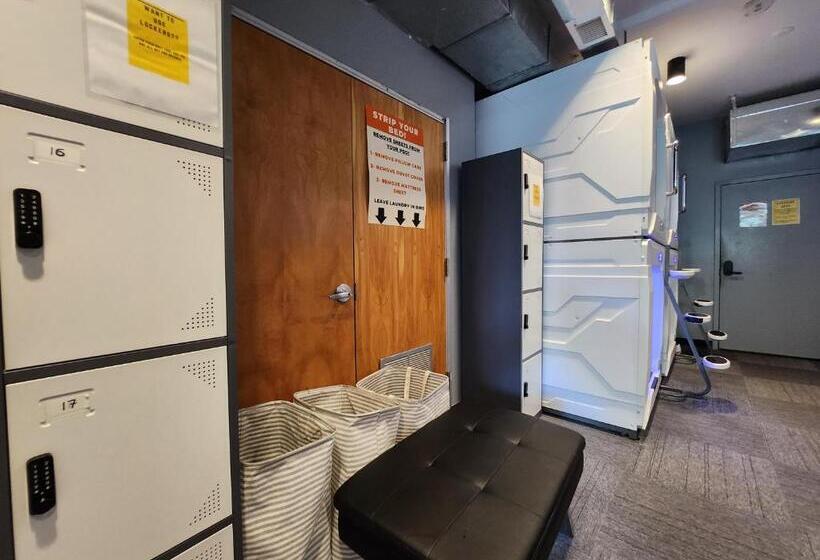 سرير فى غرفة مشتركه, U Street Capsule Hostel