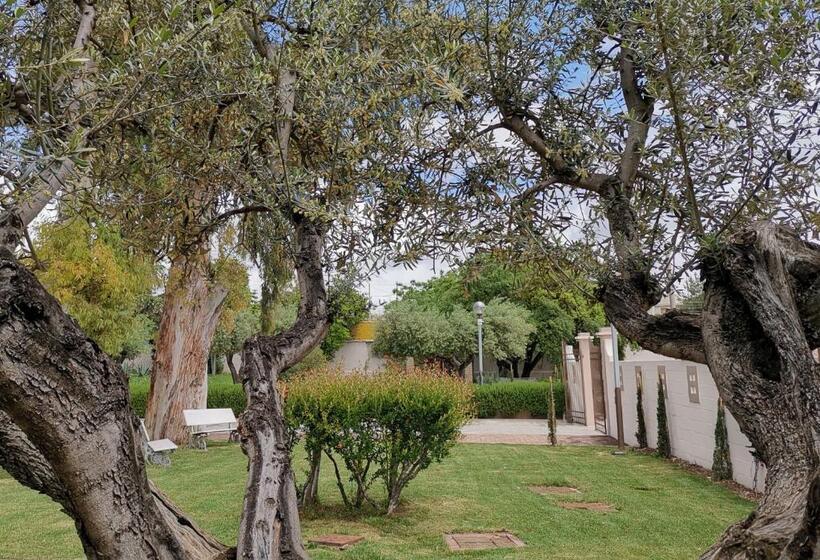 ガーデンビューファミリールーム, Flos Guest House