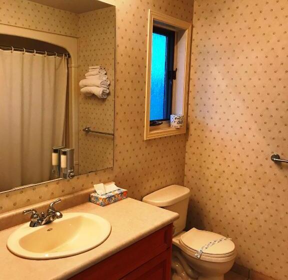 غرفة ديلوكس, Country Inn Listowel