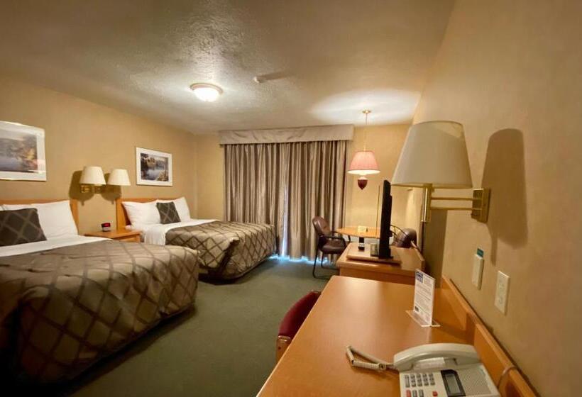 豪华房间, Country Inn Listowel