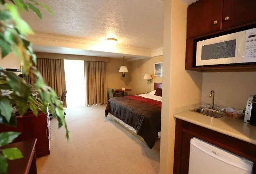 Sviitti King-vuode, Country Inn Listowel