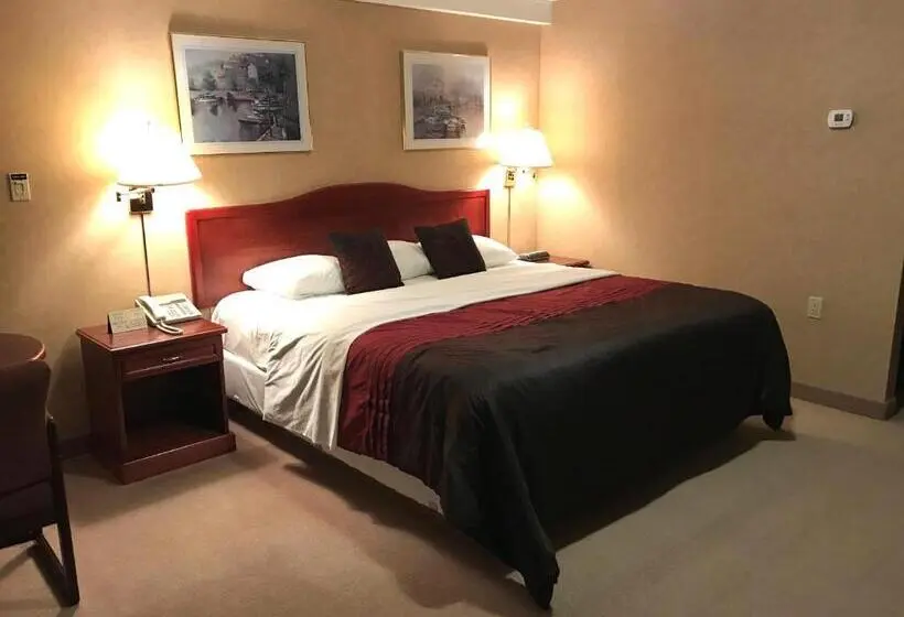 Sviitti King-vuode, Country Inn Listowel
