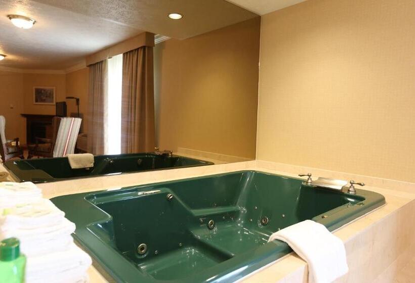 高级套房, Country Inn Listowel