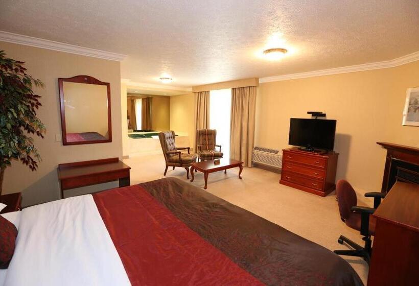 高级套房, Country Inn Listowel