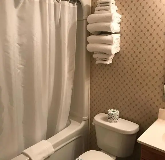 Standard Kolmen Hengen Huone, Country Inn Listowel