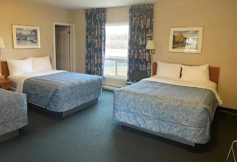 Standard Kolmen Hengen Huone, Country Inn Listowel