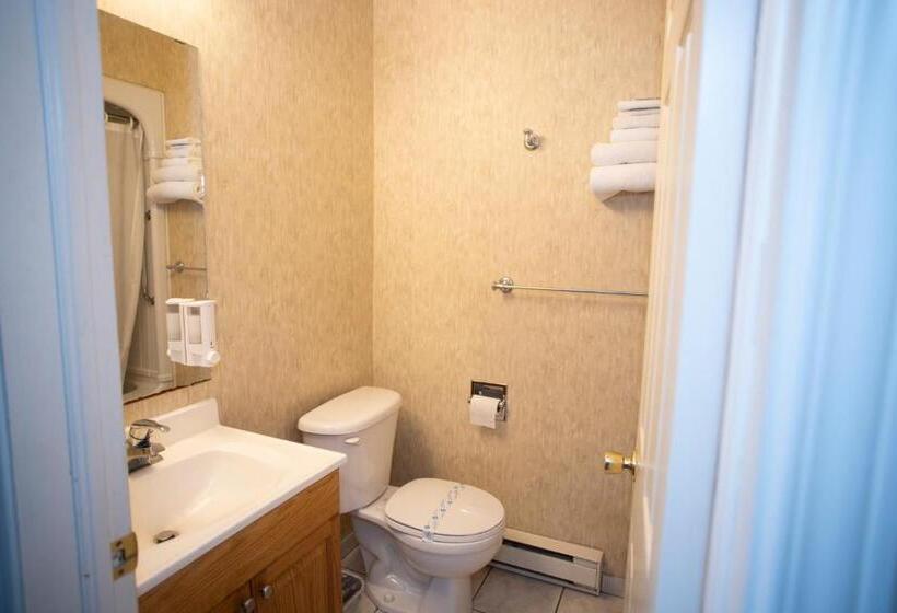 غرفة قياسية, Country Inn Listowel