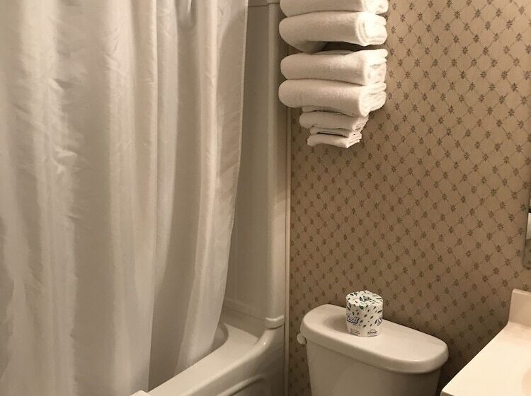 スタンダードルーム, Country Inn Listowel