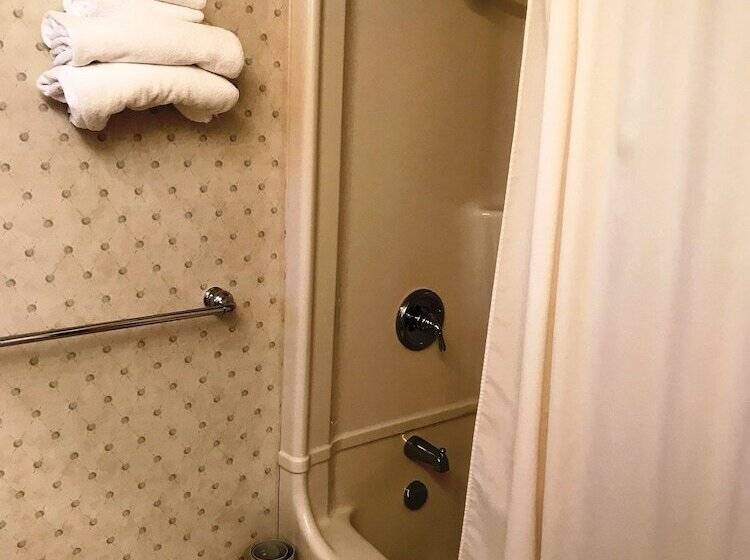 غرفة ديلوكس, Country Inn Listowel