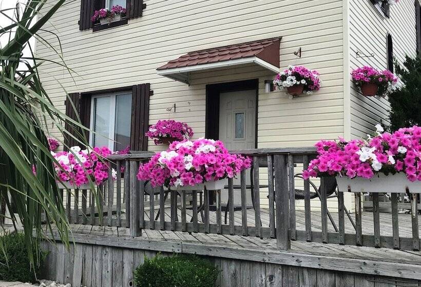 منزل 3 غرف نوم, Country Inn Listowel