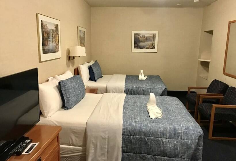 شقة غرفة واحدة, Country Inn Listowel