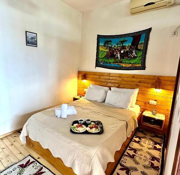 اتاق استاندارد, Guest House Salaria