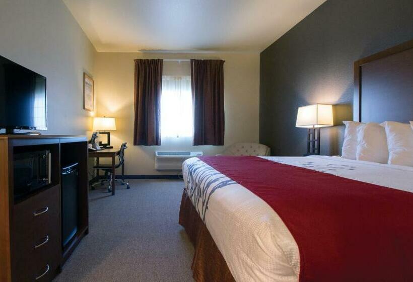 Стандартный Номер Кровать Кинг, Newcastle Lodge & Convention Center