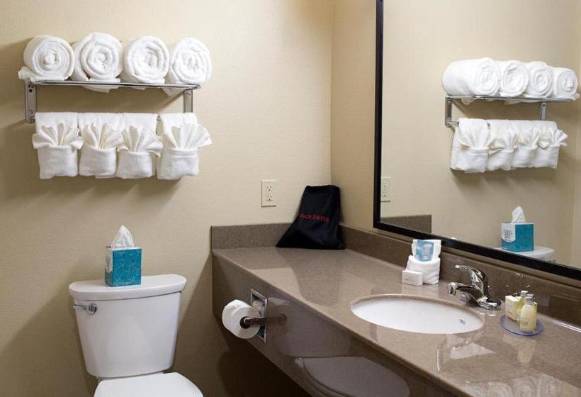 Номер Deluxe Кровать Кинг, Newcastle Lodge & Convention Center