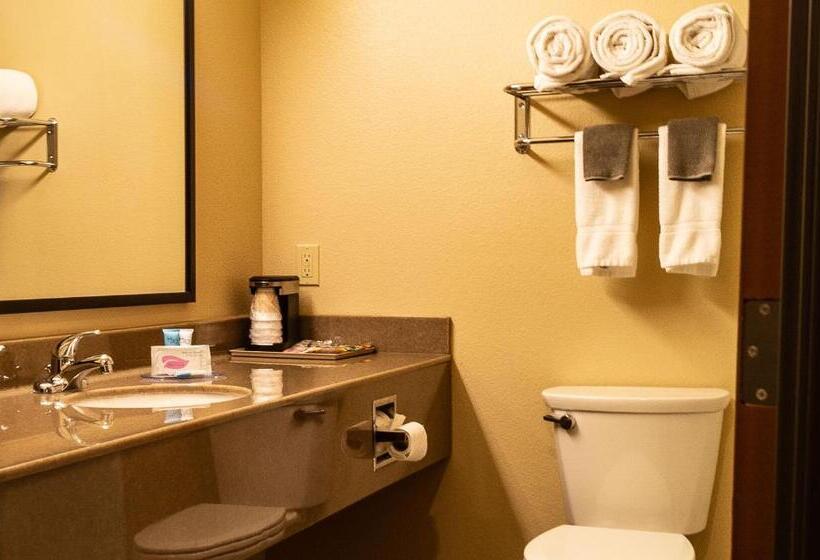 Номер Deluxe Кровать Кинг, Newcastle Lodge & Convention Center