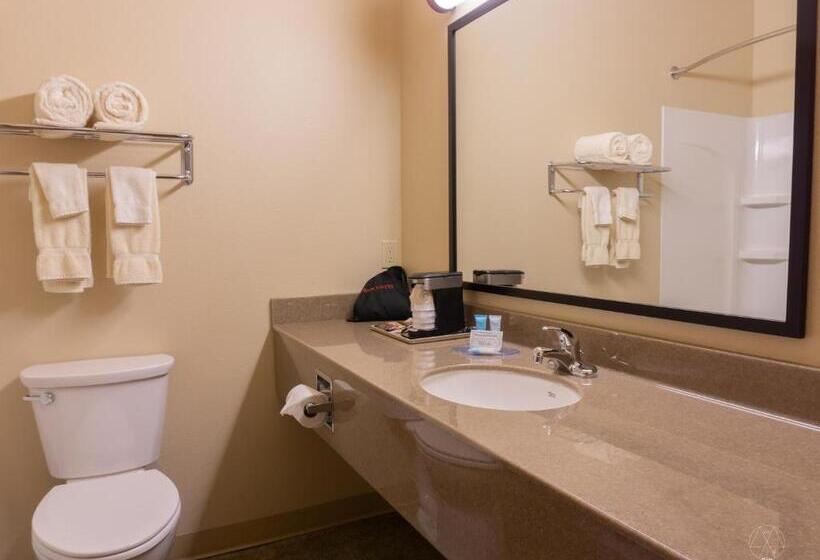 Номер Superior, Newcastle Lodge & Convention Center