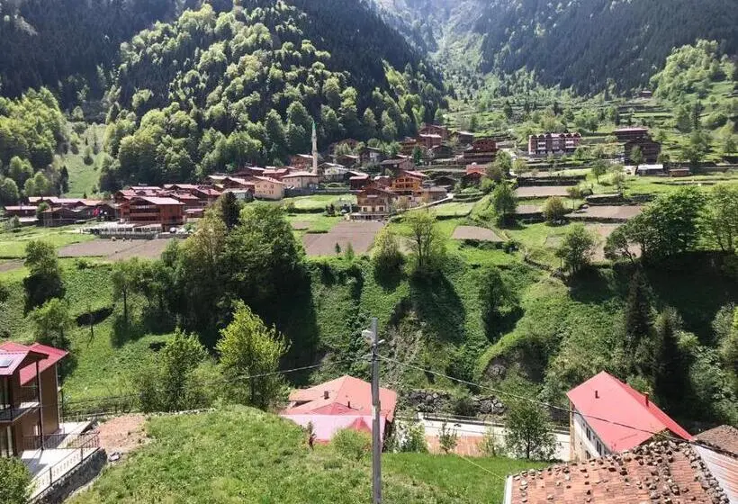 2 Bedrooms Apartment Mountain View, Uzungol Apart