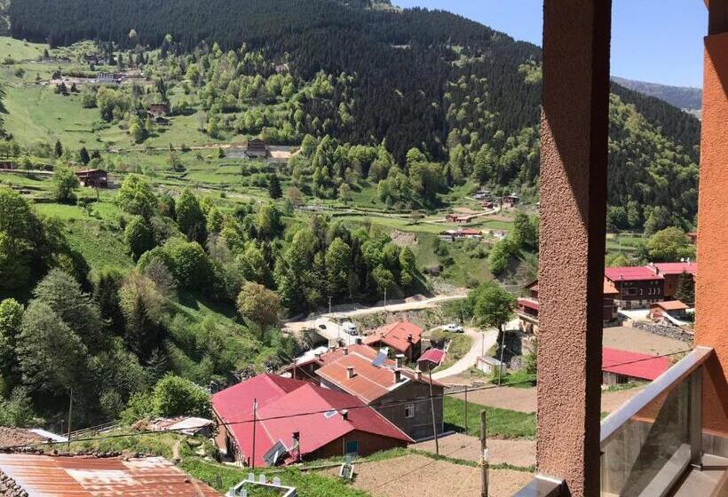 2 Bedrooms Apartment Mountain View, Uzungol Apart