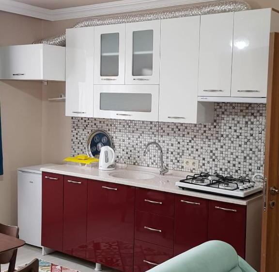 2 Bedrooms Apartment Mountain View, Uzungol Apart