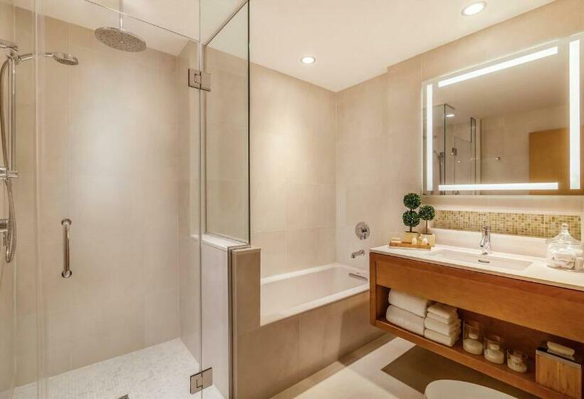 豪华房间, Concorde Hotel New York