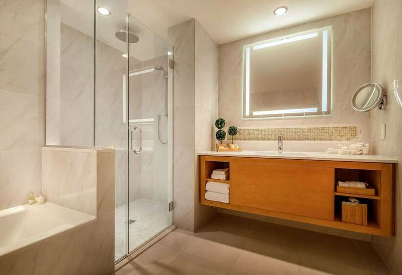 اتاق استاندارد برای معلولان, Concorde Hotel New York
