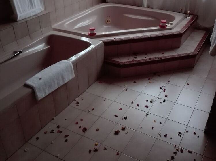 סוויטה נשיאותית, Vido Lodge And Conference Centre