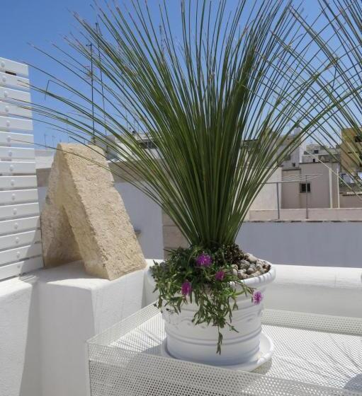 خانه 1 خوابه, Sirenè