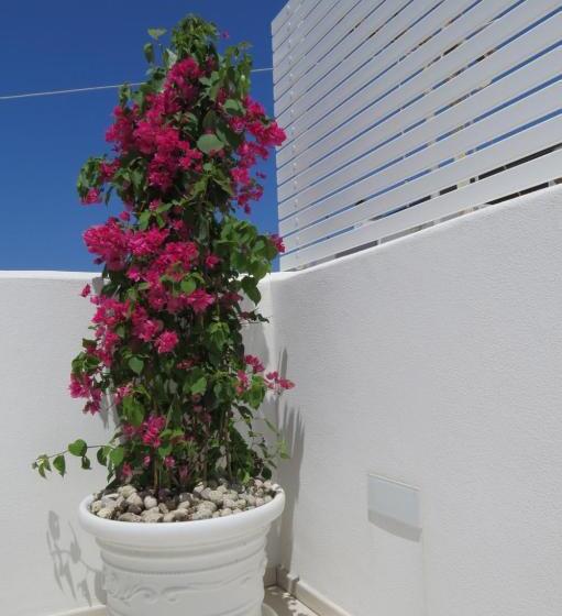 خانه 1 خوابه, Sirenè