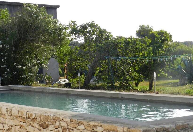 스탠다드 룸, A Loghja Di Cavallo Morto