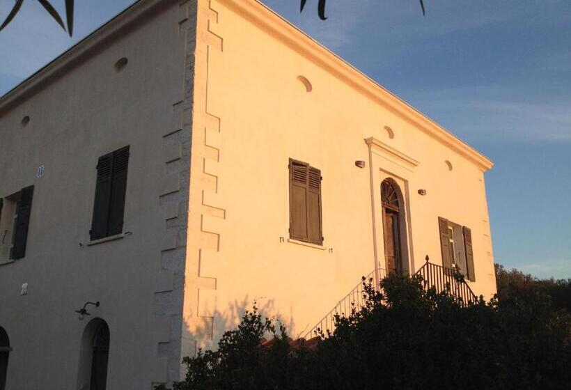 스탠다드 룸, A Loghja Di Cavallo Morto