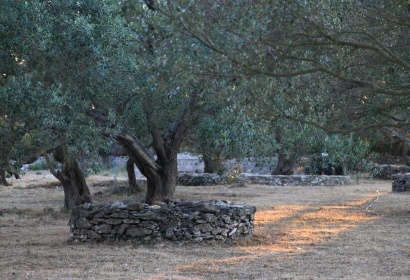 스탠다드 룸, A Loghja Di Cavallo Morto